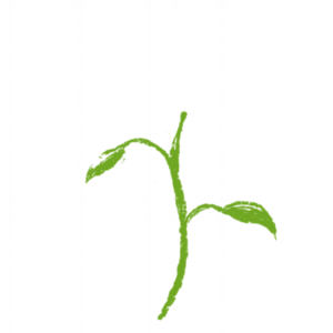 Flower Illustration Step 2: stem and leaves