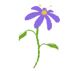 Illustrated Flower