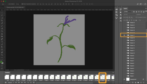 Flower Illustration Step 3: Group layers